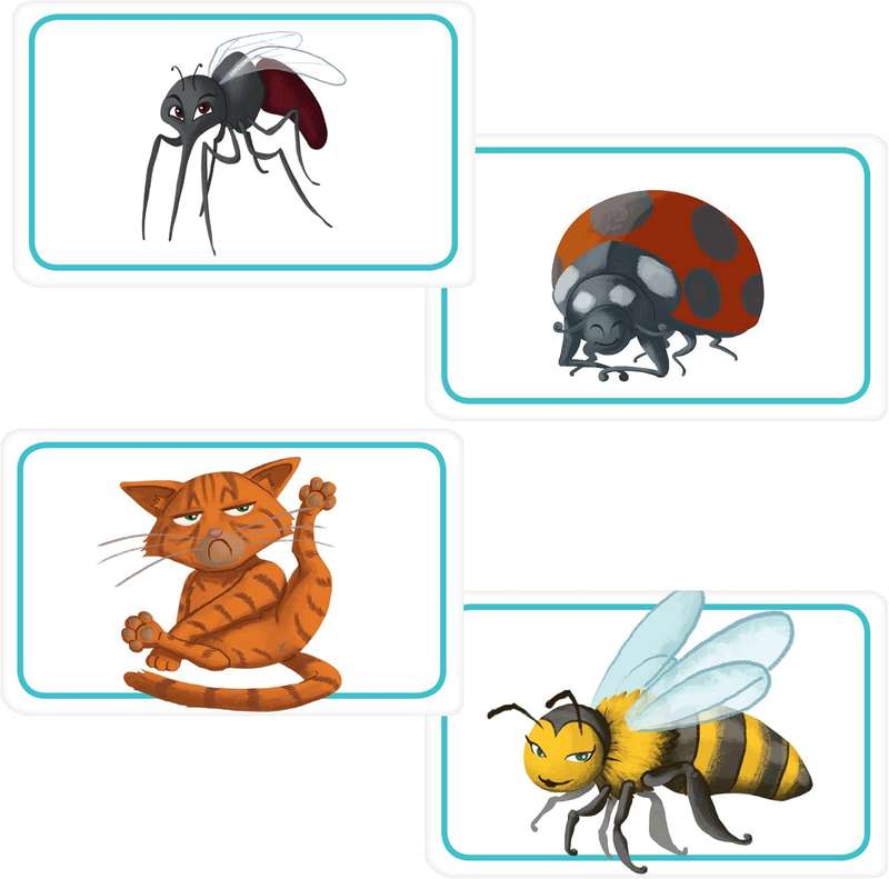 Concept Kids Animals - Cooperative Animal Guessing Game for Children!