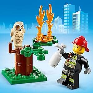 60247