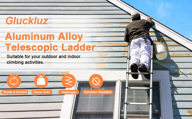 telescopic ladder