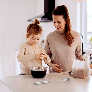 Stainless Steel Eggbeater