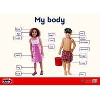 My body: Gr R: Poster 4 (Poster)