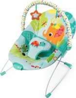 Bright Starts Vibrating Bouncer (Raindrop Rainforest)