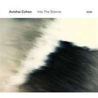 Into the Silence (Vinyl record)
