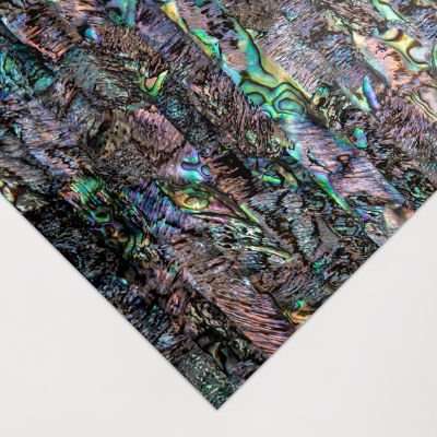Abalone Natural Raw Shell Inlay Veneer (24 x 14cmm)(Paua Heart)