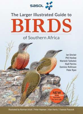The Larger Illustrated Guide Sasol Birds Of Southern Africa (Paperback)