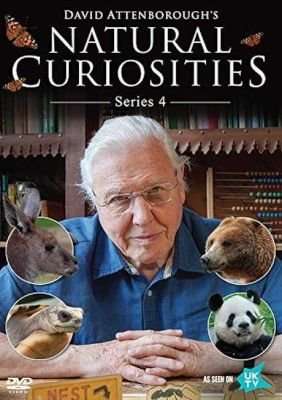 Natural Curiosities - Season 4 (DVD)