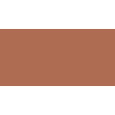 Winsor & Newton Pigment Marker - Medium Brown