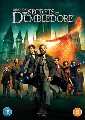 Fantastic Beasts 3 - The Secrets Of Dumbledore (DVD)