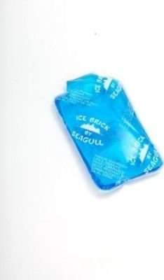 Seagull Soft Clear Blue Gel Ice Brick (200 g)