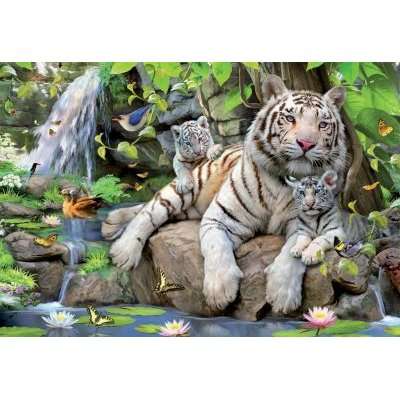 Educa Jigsaw Puzzle - White Tigers of Bengal (1000 Pieces)