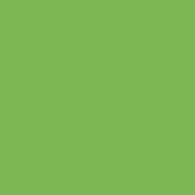 American Crafts Textured Cardstock - Grass (12x12)(10 Sheets)