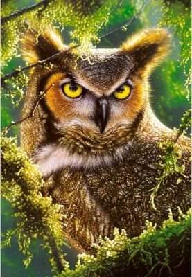 Castorland Jigsaw Puzzle - Watching & Waiting (1000 Pieces)