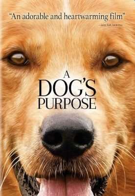 A Dog's Purpose (DVD)