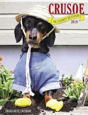 Crusoe the Celebrity Dachshund 2019 Engagement Calendar (Dog Breed Calendar) (Calendar)