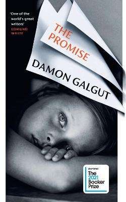 The Promise (Hardcover)