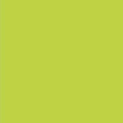 American Crafts Textured Cardstock - Cricket (12x12)(10 Sheets)