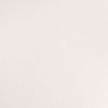 Winsor And Newton Cotman Watercolour - Chinese White (Half Pan)