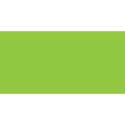 Winsor & Newton Pigment Marker - Lime Green