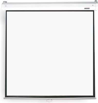 Parrot SC0271 1:1 Pulldown Projection Screen (2030 x 2030mm)