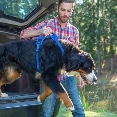 Rogz Utility Explore Harness (Pink Reflective)