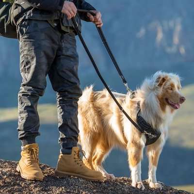 Rogz Utility Explore Harness (Pink Reflective)