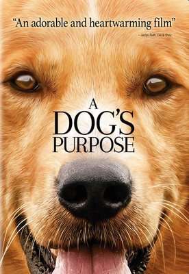 A Dog's Purpose (DVD)