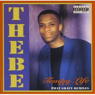 Tempy Life - Phat Gravy Remixes (CD)