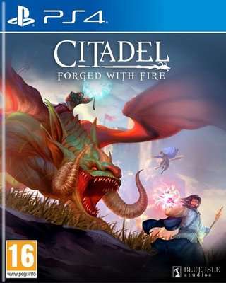 Citadel: Forged with Fire (PlayStation 4)