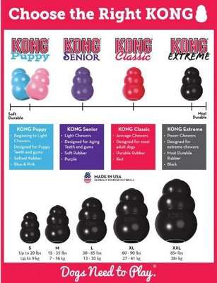 KONG Black Extreme Treat Toy
