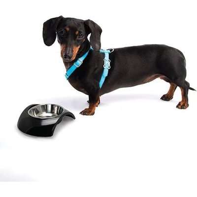 Rogz Lapz Luna Adjustable Dog H-Harness (Blue)