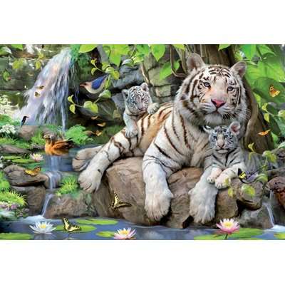 Educa Jigsaw Puzzle - White Tigers of Bengal (1000 Pieces)