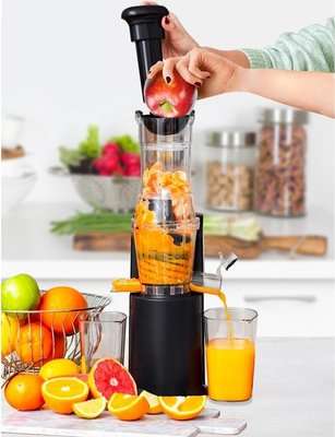 Homemark Milex Slow Juicer