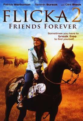 Flicka 2 (DVD)