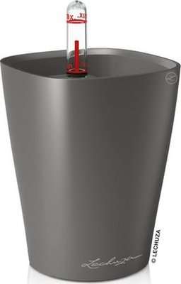 Lechuza Mini Deltini (Charcoal) - Charcoal