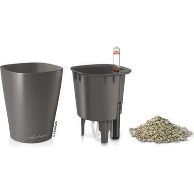 Lechuza Mini Deltini (Charcoal) - Charcoal