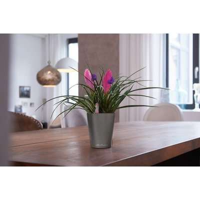 Lechuza Mini Deltini (Charcoal) - Charcoal