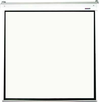 Parrot Screen - Electric (2440 x 2440mm)(View: 2340 x 2340mm) 1:1
