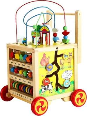 Jeronimo Wooden Cube Activity Walker