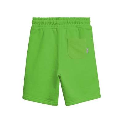 Minecraft Creeper Youth Shorts (Green)
