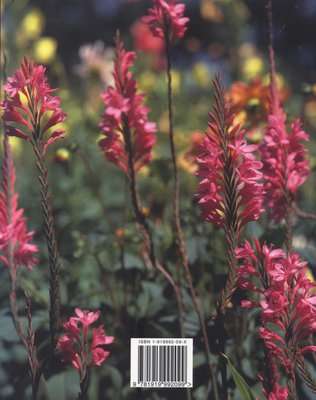 Affordable gardening (Paperback)