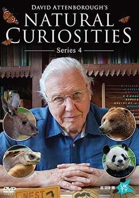 Natural Curiosities - Season 4 (DVD)