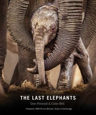 The Last Elephants (Paperback, Flexibound)