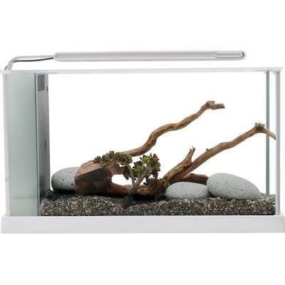 Fluval SPEC 4 - 19L Glass Aquarium Kit (White)