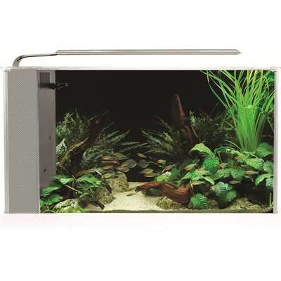 Fluval SPEC 4 - 19L Glass Aquarium Kit (White)