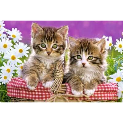 Castorland Kittens In Basket Puzzle (70 Pieces)