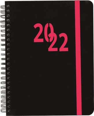 2022 A4 Wiro Page A Day Diary (Cherise)