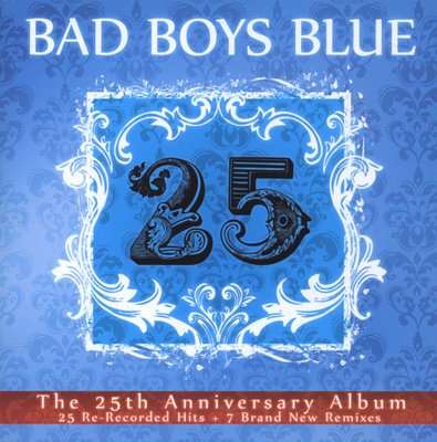 25: The 25th Anniversary Album (CD)