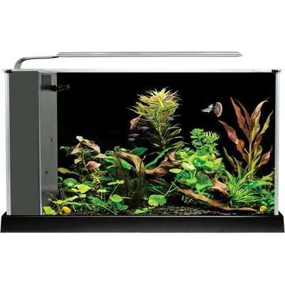 Fluval SPEC 4 - 19L Glass Aquarium Kit (Black)