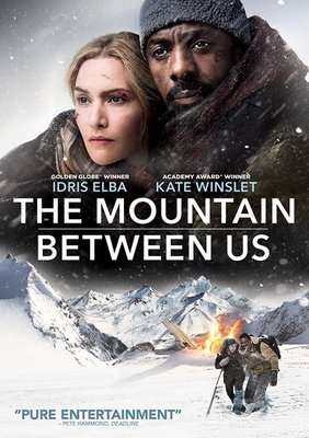 The Mountain Between Us (DVD)