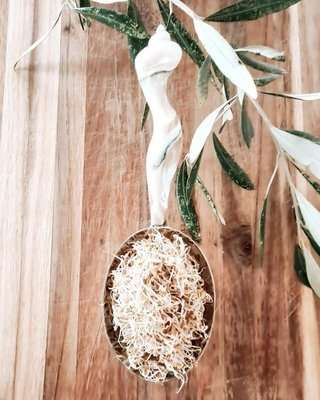 Microgarden GrowBag (Basil)